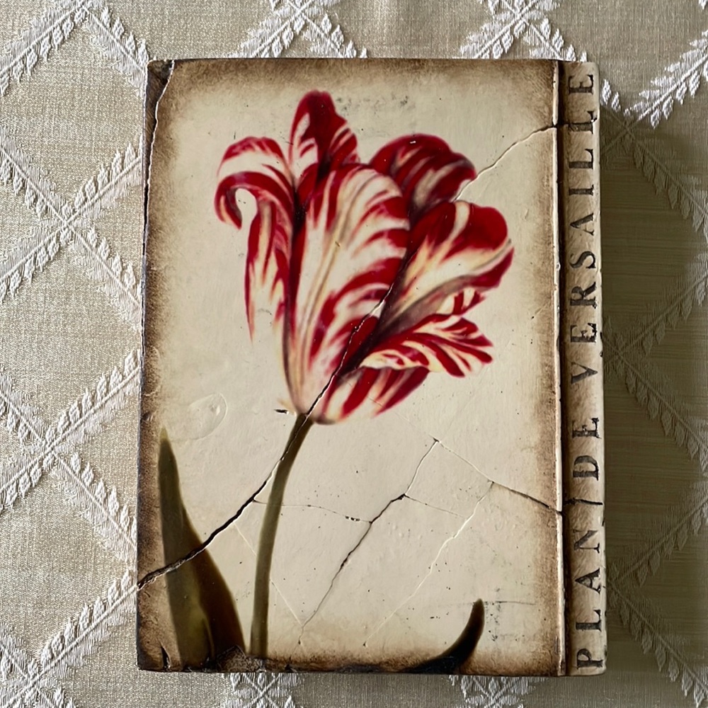 Sid Dickens Versailles Tulip